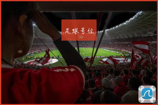 足球号位