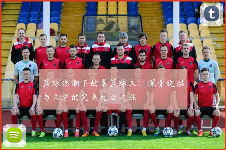 篮球热潮下的求篮球文：探索运动与文学的完美结合之旅